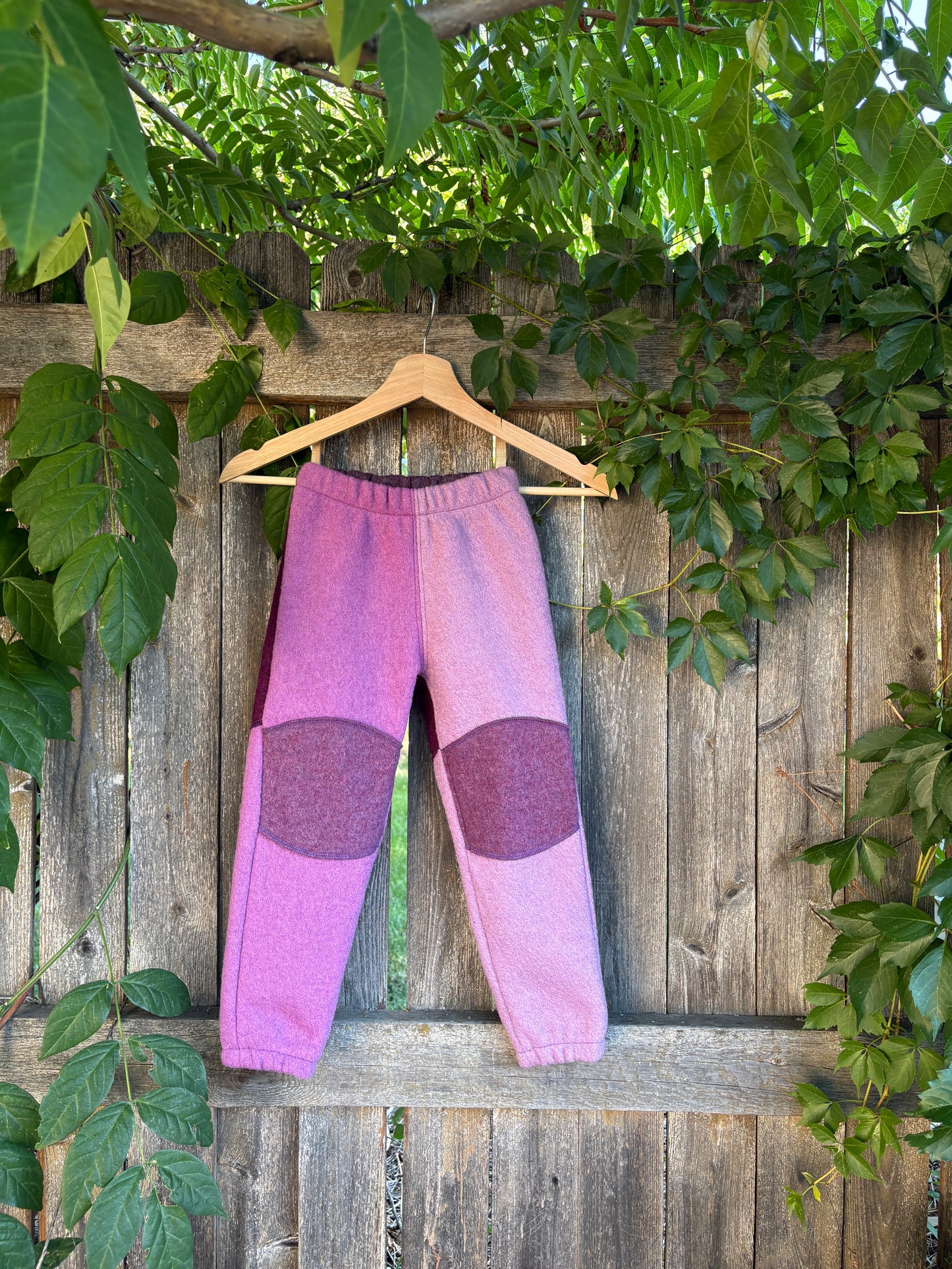 adventure pants