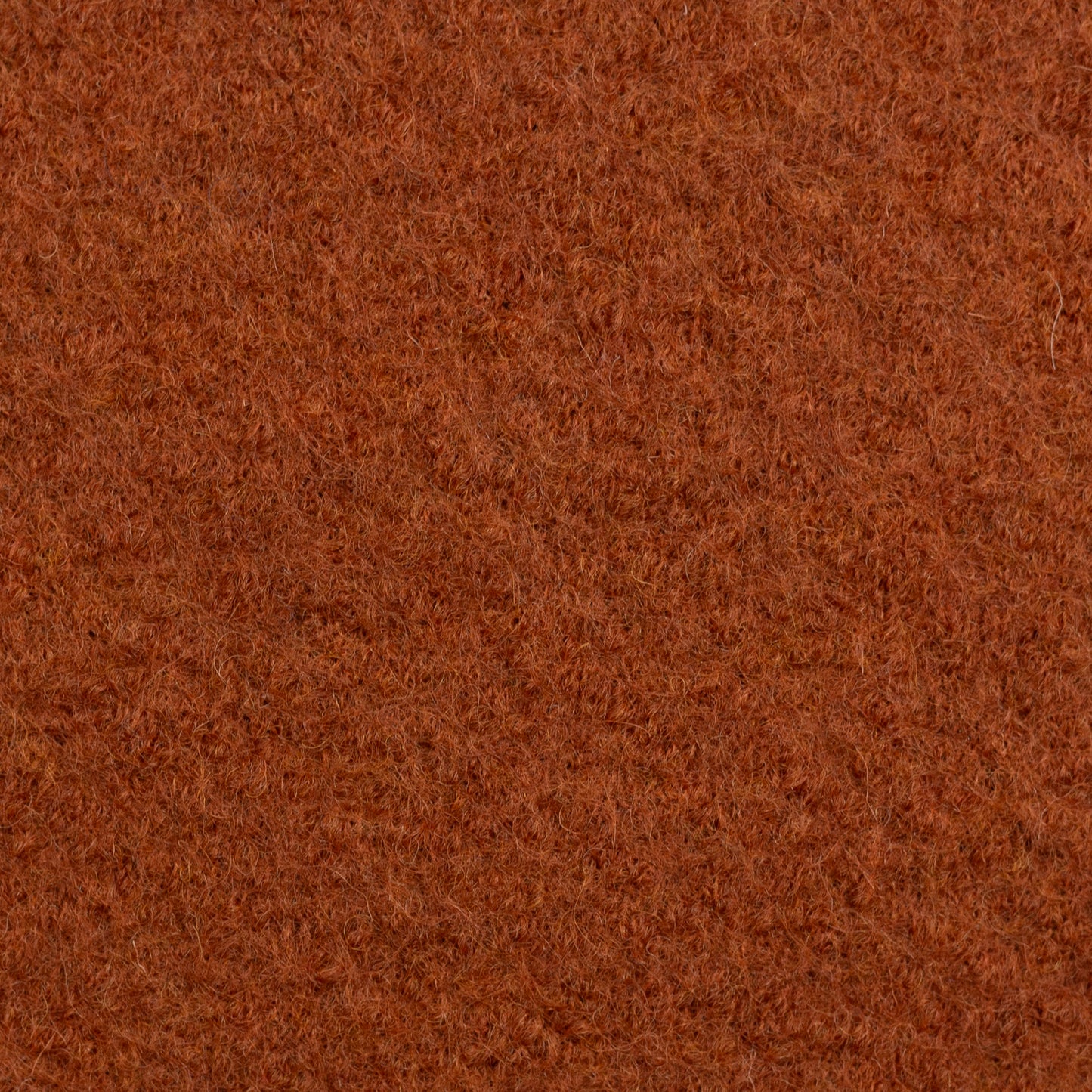 Boiled Wool Fabric by the Yard | August Preorder