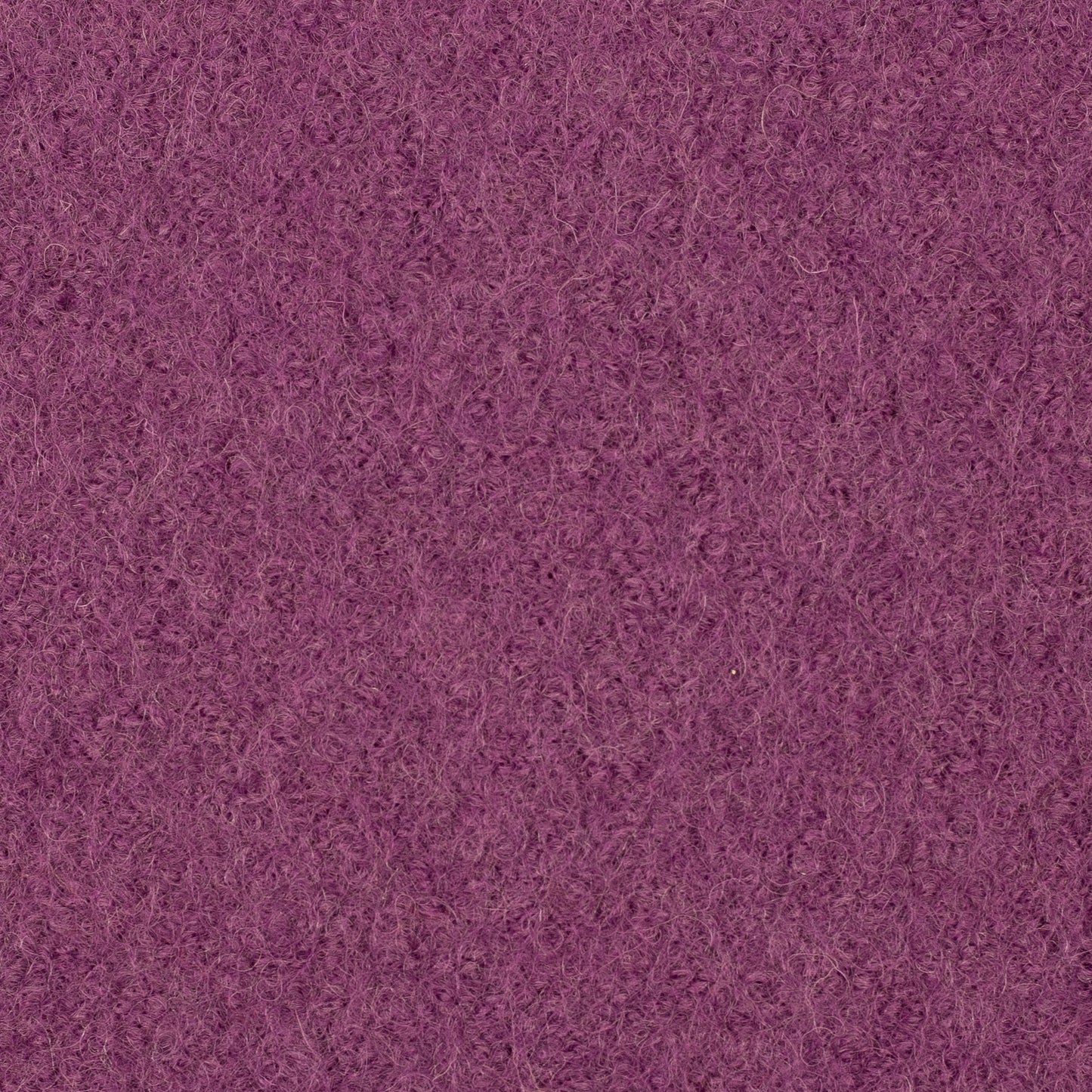 Boiled Wool Fabric by the Yard | August Preorder
